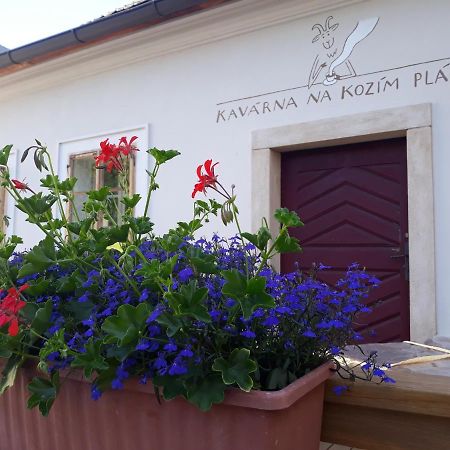Café Kozí plácek Kutná Hora Exterior foto